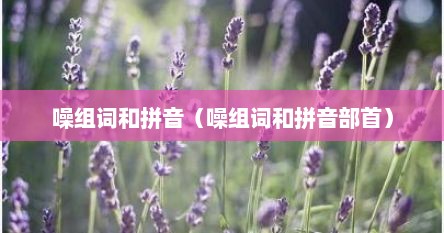 噪组词和拼音（噪组词和拼音部首）