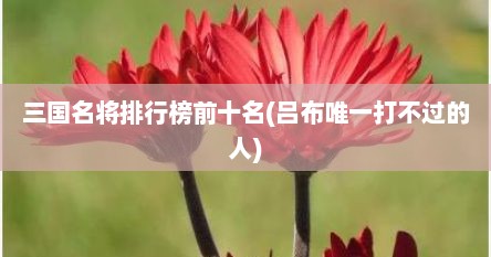 三国名将排行榜前十名(吕布唯一打不过的人)