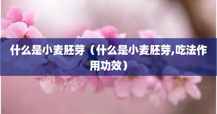 什么是小麦胚芽（什么是小麦胚芽,吃法作用功效）