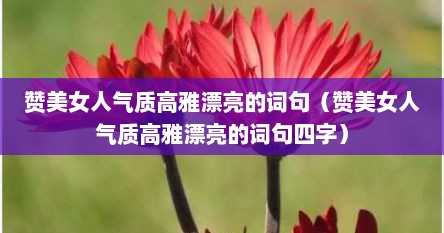 赞美女人气质高雅漂亮的词句（赞美女人气质高雅漂亮的词句四字）