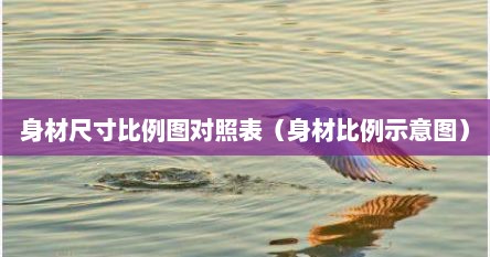 身材尺寸比例图对照表（身材比例示意图）