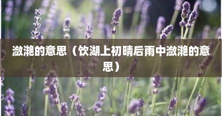 潋滟的意思（饮湖上初晴后雨中潋滟的意思）