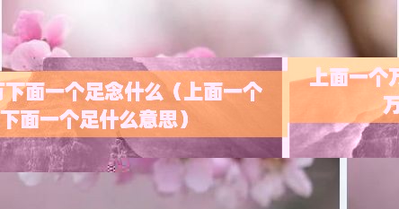 上面一个万下面一个足念什么（上面一个万下面一个足什么意思）
