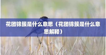 花团锦簇是什么意思（花团锦簇是什么意思解释）