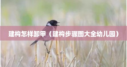 建构怎样卸甲（建构步骤图大全幼儿园）