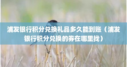 浦发银行积分兑换礼品多久能到账（浦发银行积分兑换的券在哪里找）