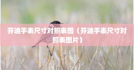 芬迪手表尺寸对照表图（芬迪手表尺寸对照表图片）