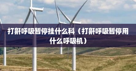 打鼾呼吸暂停挂什么科（打鼾呼吸暂停用什么呼吸机）