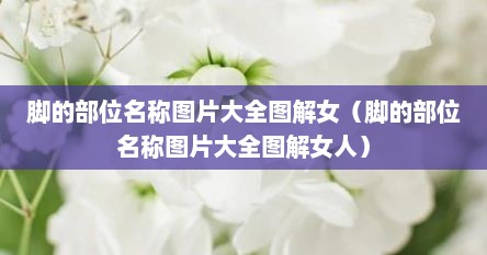 脚的部位名称图片大全图解女（脚的部位名称图片大全图解女人）
