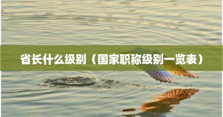 省长什么级别（国家职称级别一览表）