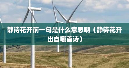 静待花开前一句是什么意思啊（静待花开出自哪首诗）