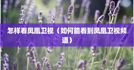 怎样看凤凰卫视（如何能看到凤凰卫视频道）