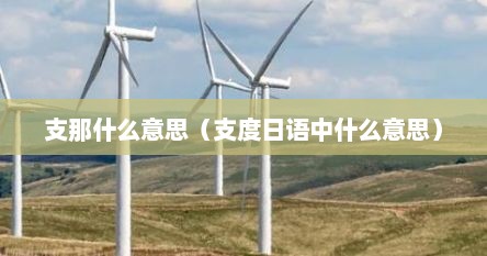 支那什么意思（支度日语中什么意思）