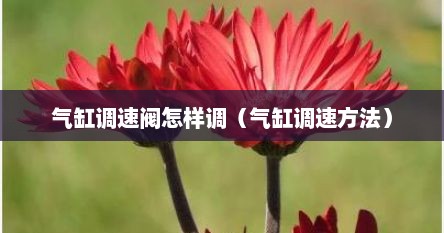 气缸调速阀怎样调（气缸调速方法）
