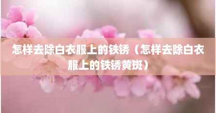 怎样去除白衣服上的铁锈（怎样去除白衣服上的铁锈黄斑）