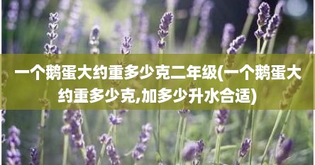 一个鹅蛋大约重多少克二年级(一个鹅蛋大约重多少克,加多少升水合适)