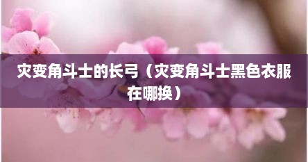 灾变角斗士的长弓（灾变角斗士黑色衣服在哪换）