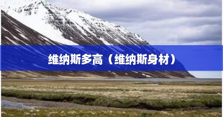维纳斯多高（维纳斯身材）