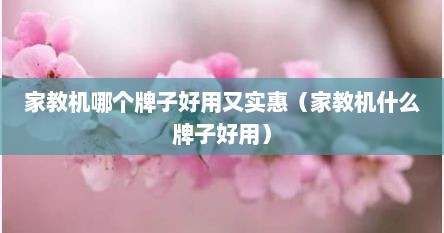 家教机哪个牌子好用又实惠（家教机什么牌子好用）