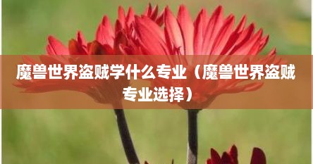 魔兽世界盗贼学什么专业（魔兽世界盗贼专业选择）