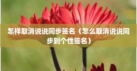 怎样取消说说同步签名（怎么取消说说同步到个性签名）