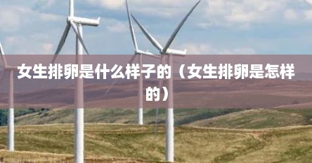 女生排卵是什么样子的（女生排卵是怎样的）