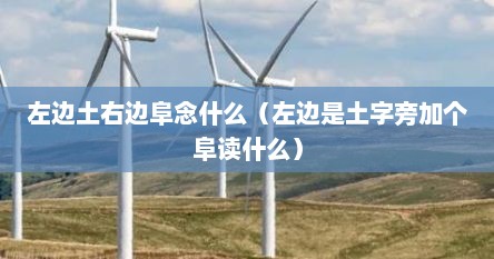 左边土字右边阜是什么字（左边土字旁右边是川念什么）