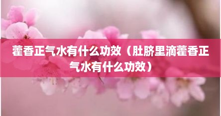 藿香正气水有什么功效（肚脐里滴藿香正气水有什么功效）