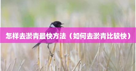 怎样去淤青最快方法（如何去淤青比较快）