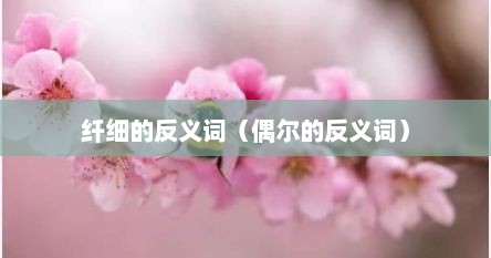 纤细的反义词（偶尔的反义词）