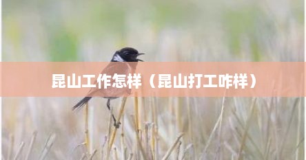 昆山工作怎样（昆山打工咋样）
