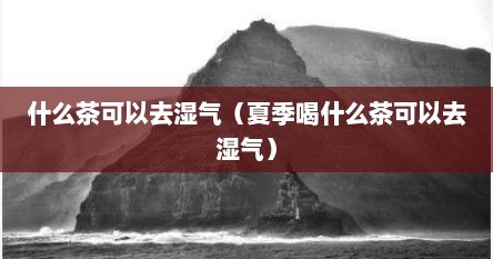什么茶可以去湿气（夏季喝什么茶可以去湿气）
