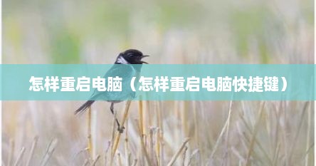 怎样重启电脑（怎样重启电脑快捷键）