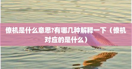 僚机是什么意思?有哪几种解释一下（僚机对应的是什么）