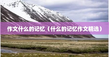作文什么的记忆（什么的记忆作文精选）