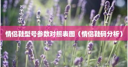 情侣鞋型号参数对照表图（情侣鞋码分析）