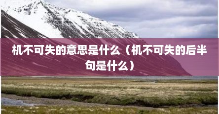 机不可失的意思是什么（机不可失的后半句是什么）