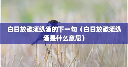 白日放歌须纵酒的下一句（白日放歌须纵酒是什么意思）