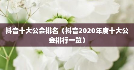 抖音十大公会排名（抖音2020年度十大公会排行一览）