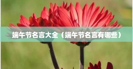 端午节名言大全（端午节名言有哪些）