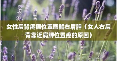 女性后背左右肩胛下疼是什么原因（女性右后背疼图解大全）