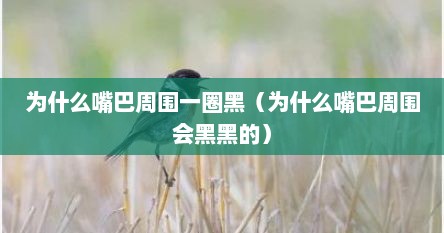 为什么嘴巴周围一圈黑（为什么嘴巴周围会黑黑的）