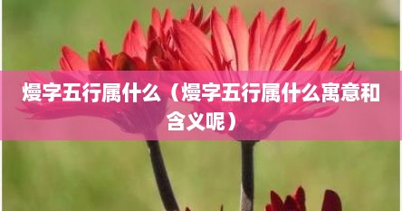 熳字五行属什么（熳字五行属什么寓意和含义呢）