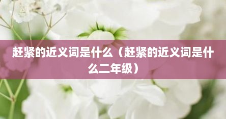赶紧的近义词是什么二年级（赶紧的近义词是哪些）