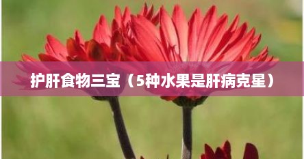 护肝食物三宝（5种水果是肝病克星）