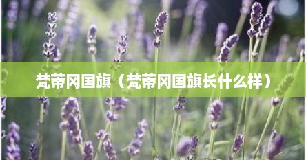 梵蒂冈国旗（梵蒂冈国旗长什么样）
