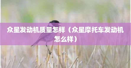 众星发动机质量怎样（众星摩托车发动机怎么样）
