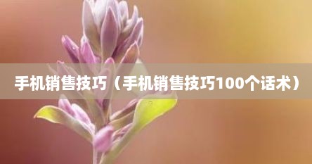 手机销售技巧（手机销售技巧100个话术）