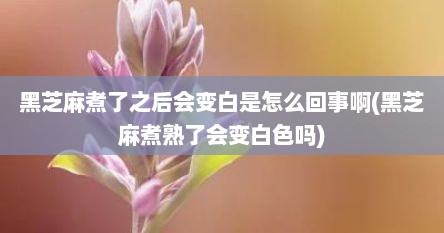 黑芝麻煮了之后会变白是怎么回事啊(黑芝麻煮熟了会变白色吗)