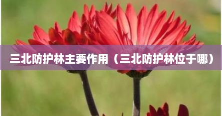 三北防护林主要作用（三北防护林位于哪）
